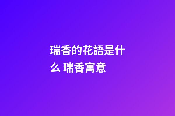 瑞香的花語是什么 瑞香寓意